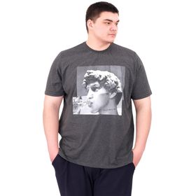 Mode XL U25027 Statue Antrasit Bisiklet Yaka Erkek T-shirt