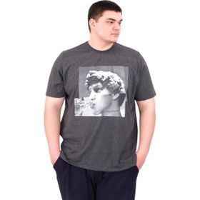Mode XL U25027 Statue Antrasit Bisiklet Yaka Erkek T-shirt