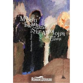 Modern İskandinav Şiir Antolojisi Gece Güneşi - Özkan Mert