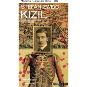Modern Klasikler Dizisi 116 - Stefan Zweig