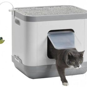 Moderna Cat Conssept Gri Tuvalet