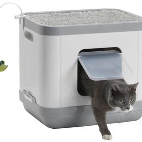 Moderna Cat Conssept Gri Tuvalet
