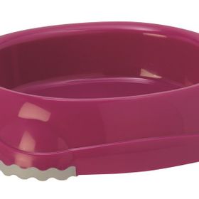 Moderna Fuşya 315 ml Smart Kedi Köpek Mama Kabı