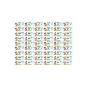 Molfix 48'li Set 60 Yaprak Islak Havlu