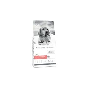 Molly Büyük Irk Derma Care Hipoalerjenik Somonlu 15 kg Yetişkin Köpek Maması
