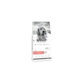 Molly Büyük Irk Derma Care Hipoalerjenik Somonlu 2 kg Yetişkin Köpek Maması