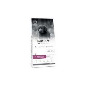 Molly Büyük Irk Hipoalerjenik Kuzu Etli ve Yaban Mersinli Düşük Tahıllı 15 kg Yavru Köpek Maması