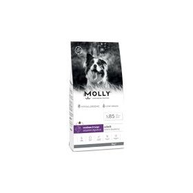 Molly Büyük Irk Hipoalerjenik Kuzu Etli ve Yaban Mersinli Düşük Tahıllı 15 kg Yetişkin Köpek Maması