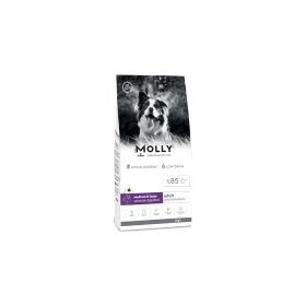 Molly Büyük Irk Hipoalerjenik Kuzu Etli ve Yaban Mersinli Düşük Tahıllı 2 kg Yetişkin Köpek Maması