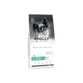 Molly Küçük Irk Hipoalerjenik Somonlu 2 kg Yetişkin Köpek Maması