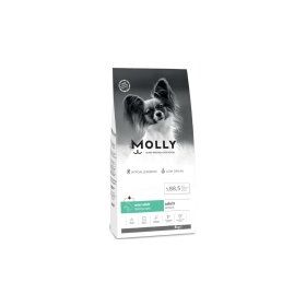 Molly Küçük Irk Hipoalerjenik Somonlu 8 kg Yetişkin Köpek Maması