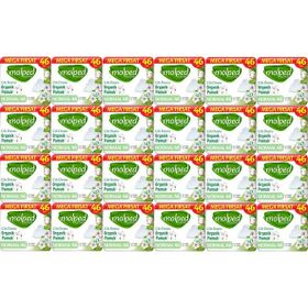 Molped Pure Soft Normal 24x46 Adet Hijyenik Ped