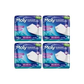 Moly 60x90 cm 4x30'lu Yatak Koruyucu Örtü