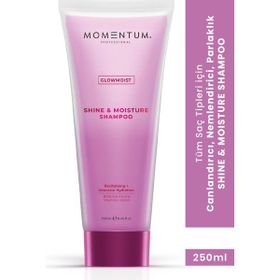 Momentum Shine Mousture 250 ml Şampuan