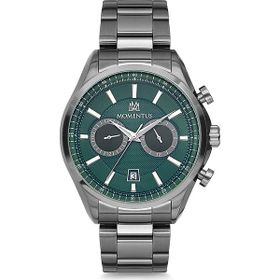 Momentus CC102N-15SS Erkek Kol Saati