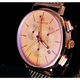 Momentus CC290R-02SR Erkek Kol Saati