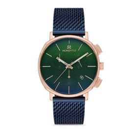 Momentus CC290R-11SR Erkek Kol Saati