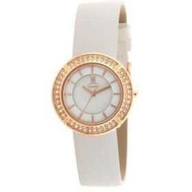 Momentus DW254R-02BD Bayan Kol Saati