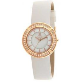 Momentus DW254R-02BD Bayan Kol Saati