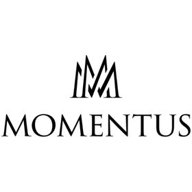 Momentus FD216R-05BS Erkek Kol Saati