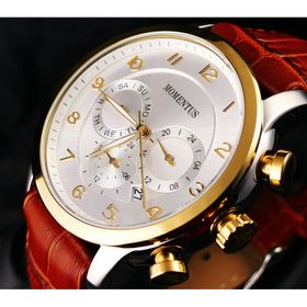 Momentus FD252S-02AG Erkek Kol Saati