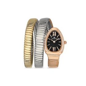 Momentus SS256R-06SZ Kadın Kol Saati