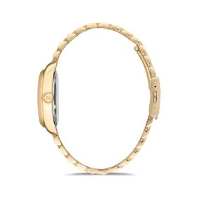 Momentus SW134G-09SG Kadın Kol Saati