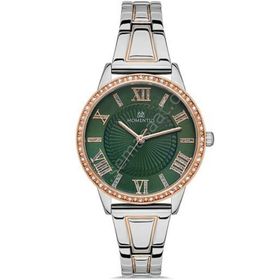 Momentus SW291T-15SR Kadın Kol Saati