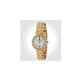 Momentus WP240G-02SD Unisex Kol Saati