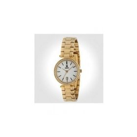 Momentus WP240G-02SD Unisex Kol Saati