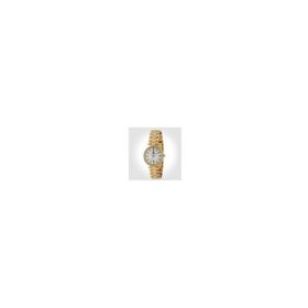 Momentus WP240G-02SD Unisex Kol Saati