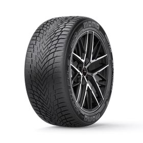 Momo 205/45 R17 88V XL North Pole W-20 Kış Lastiği 2025