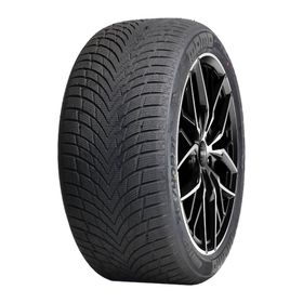 Momo 205/50 R17 93V XL North Pole W-20 Kış Lastiği 2025