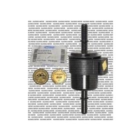 Mondial RX3I Evo Benzin Filtresi