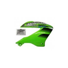 Mondial X-Treme Max 200 Benzin Deposu Yeşil Sağ Grenaj