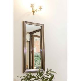 Mone Ayna 40x105 Dekoratif Gümüş Salon Ofis Boy Aynası