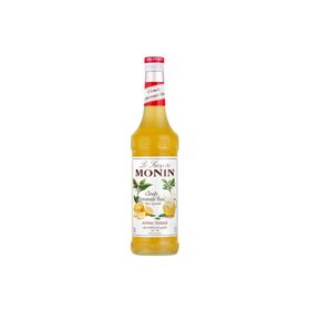 Monin 700 ml Bulutlu Limonata Bazı
