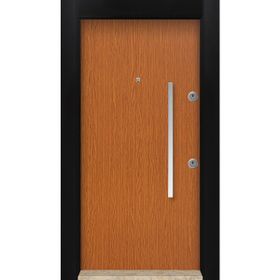 Mono MN-6031 Sol Dış İklim Çelik Kapı