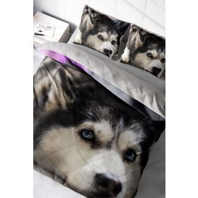 Monohome Husky 3D Renkli Çift Kişilik 200x220 cm Nevresim Takımı