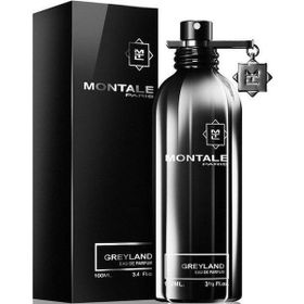 Montale Greyland 100 ml EDP unisex Parfüm