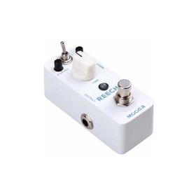 Mooer MDL2 Micro Serisi Reecho Digital Delay Pedalı