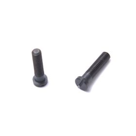 Moonstar Mauzer Lock Plaka Vidası