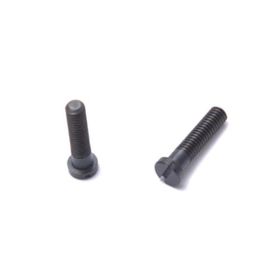 Moonstar Mauzer Lock Plaka Vidası