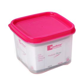 Moonstar Modüler 0.65 lt Saklama Kabı