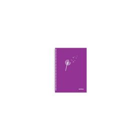 Mopak A4 60 Yaprak Spiralli Çizgili Defter