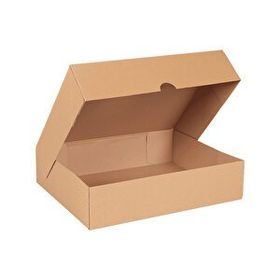 Morpack E Ticaret 25x20x10 cm 100 Adet Karton Kargo Kutusu