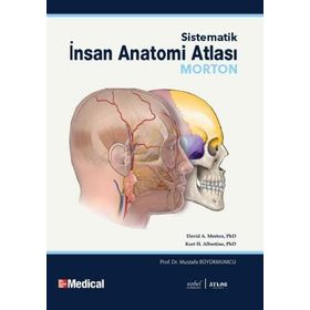 MORTON İNSAN ANATOMISI - ADAM DAVID MORTON;KURT H. ALBERTINE