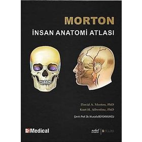 MORTON İNSAN ANATOMISI - ADAM DAVID MORTON;KURT H. ALBERTINE