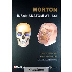 MORTON İNSAN ANATOMISI - ADAM DAVID MORTON;KURT H. ALBERTINE