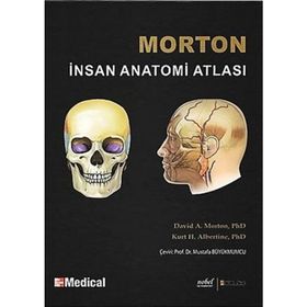 MORTON İNSAN ANATOMISI - ADAM DAVID MORTON;KURT H. ALBERTINE